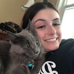 Meet your Posher, Sydney